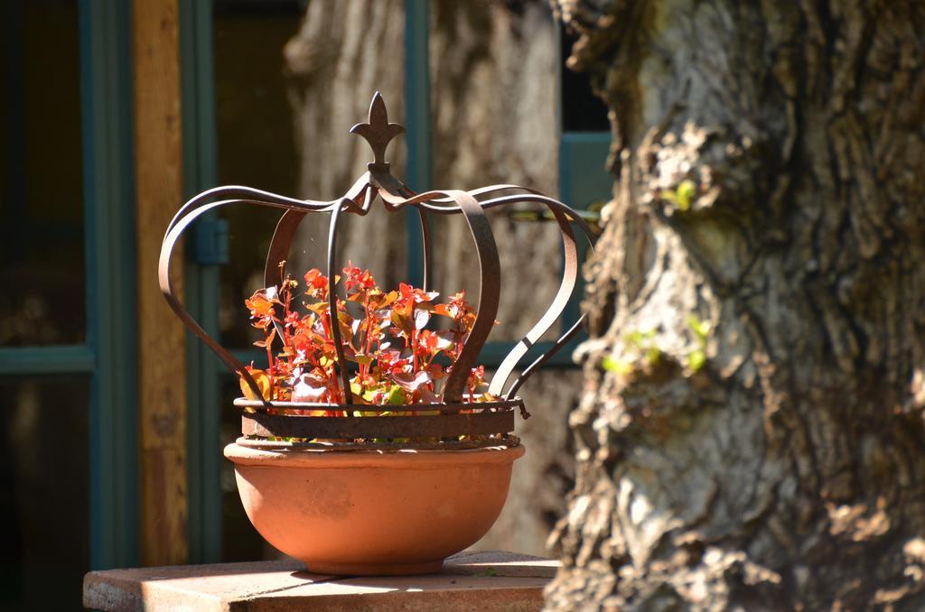 De Hoek Country Hotel Magaliesburg Exterior photo
